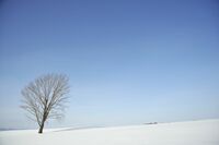 哲学塾に日々やってくる"厄介な"塾生たち 哲学科の大学院に通う｢唯一の利点｣とは？