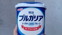 ｢ブルガリアヨーグルト｣の"ブルガリア"ってどんな国？…2泊3日《ヨーグルトの聖地》で見た意外な光景