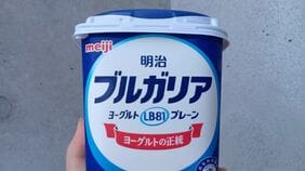 ｢ブルガリアヨーグルト｣の"ブルガリア"ってどんな国？…2泊3日《ヨーグルトの聖地》で見た意外な光景