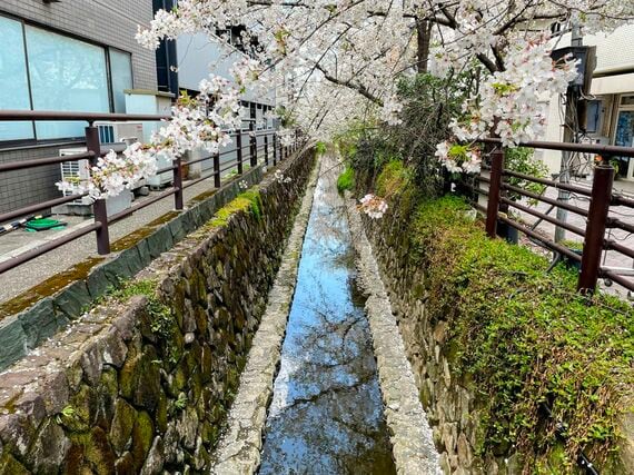 渋川