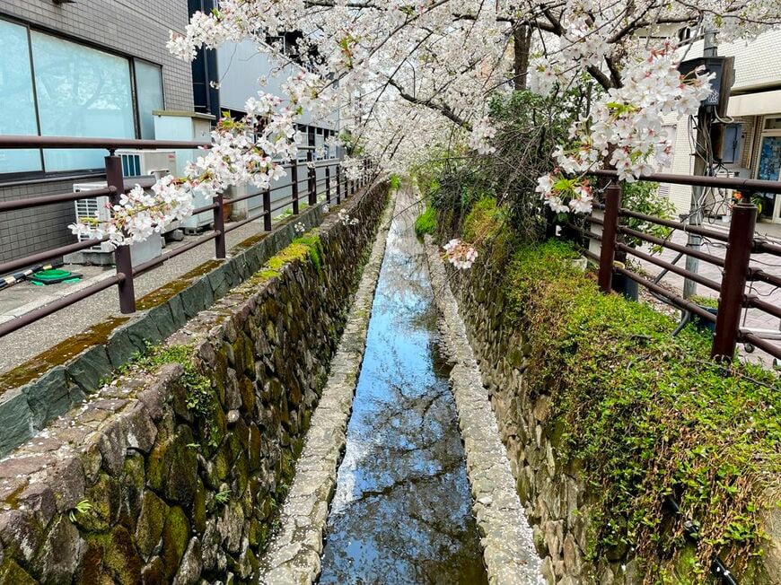 渋川