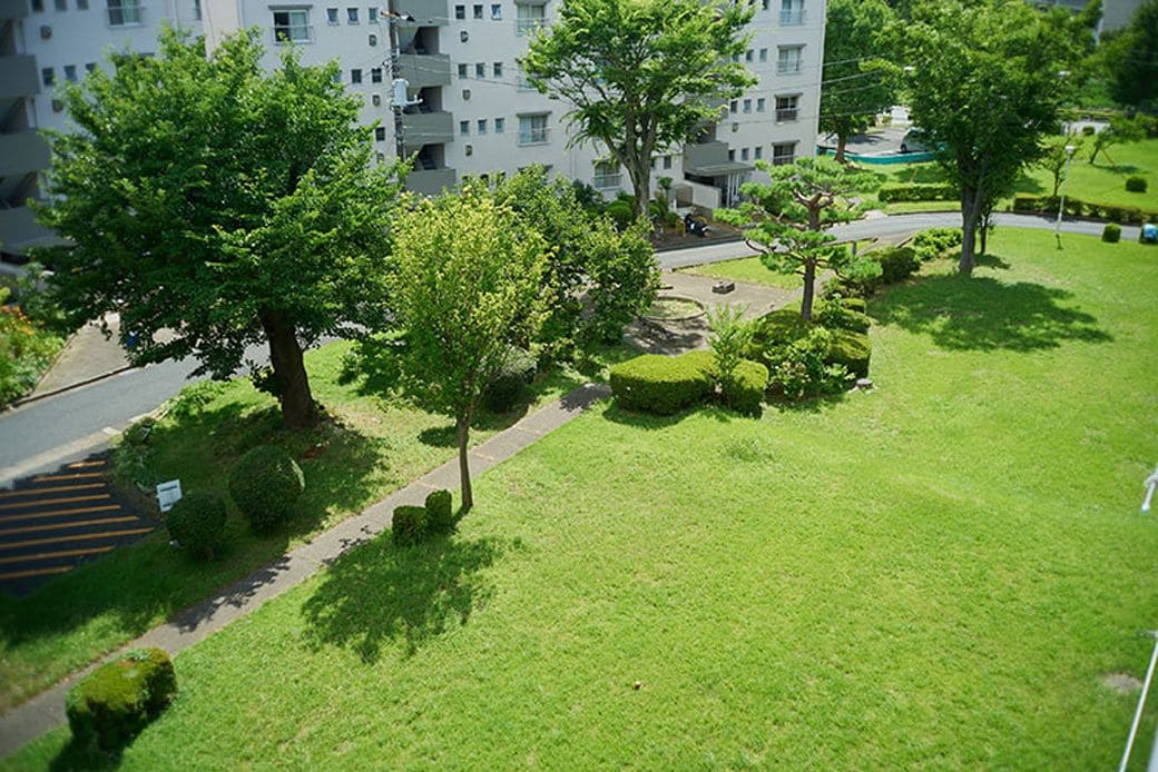 きんのさんが、この団地に住み始めたのは6年前。棟と棟との間隔がゆったりとした敷地の団地だからこそ、窓からの借景も緑豊か（写真撮影／相馬ミナ）