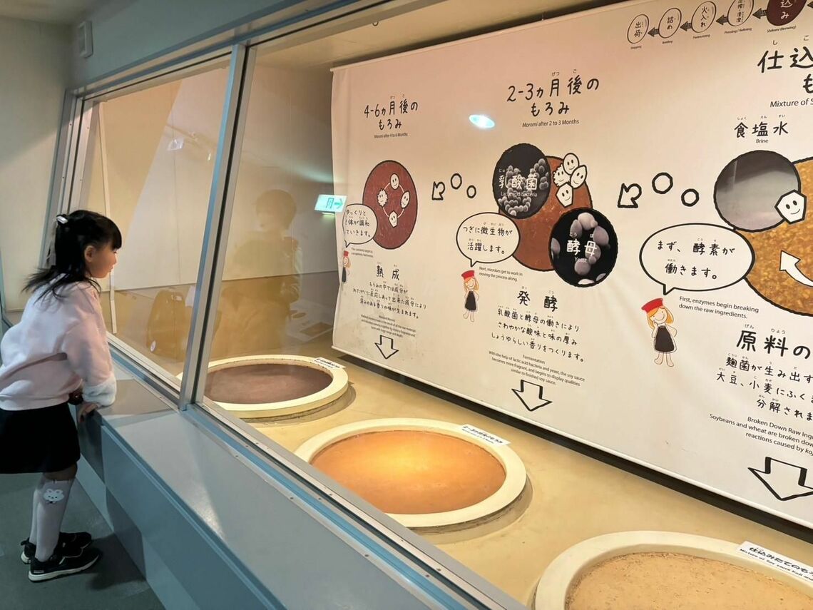 「もろみ」の色や香りの変化を体感できる工場見学（写真：筆者撮影）