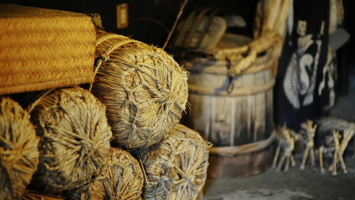 羽柴秀長､兄の管轄下で行った"窮屈な"領国支配 | 歴史 | 東洋経済オンライン