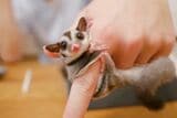（写真提供：ひろさん）