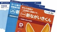 加入に値する保険がない､かんぽ生命の乏しい商品力 問題は売り方だけにあらず
