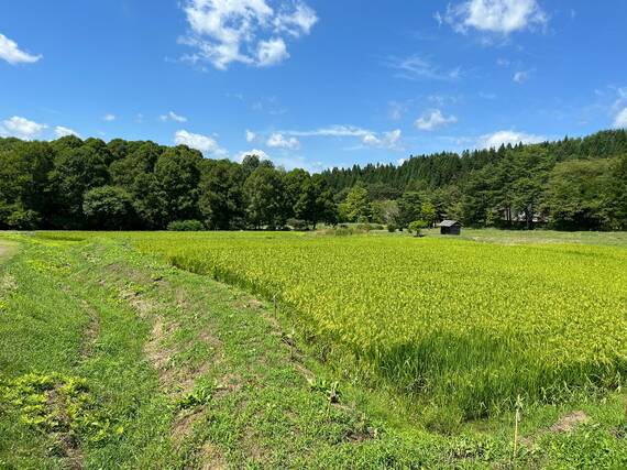 遠野ふるさと村