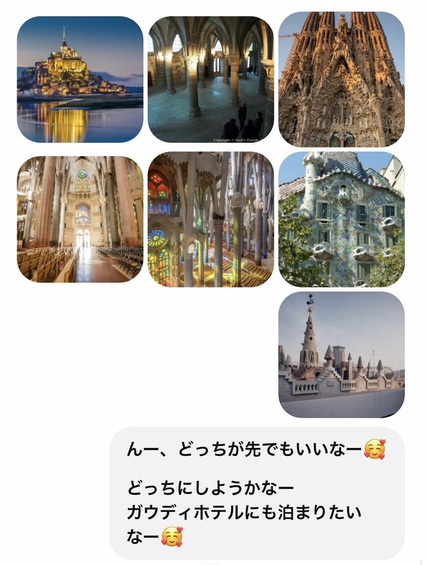 義勇さんとまりさんの新婚旅行計画中の会話（写真：まりさん提供）