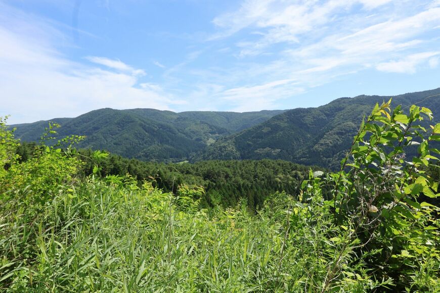 イヌワシの生息地を見渡せても、地形上、営巣場所はわからない（撮影：河野博子）