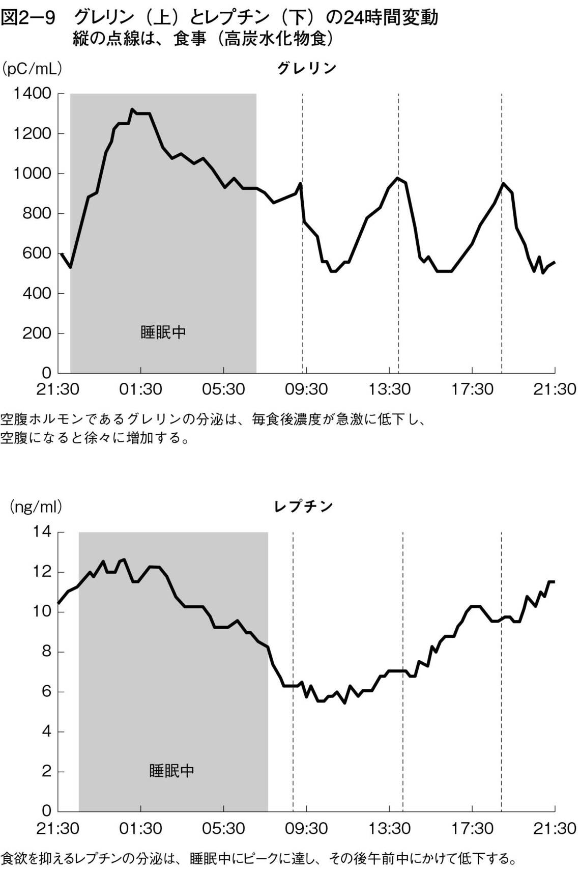 グレリン（上）とレプチン（下）の24時間変動縦の点線は、食事（高炭水化物食）