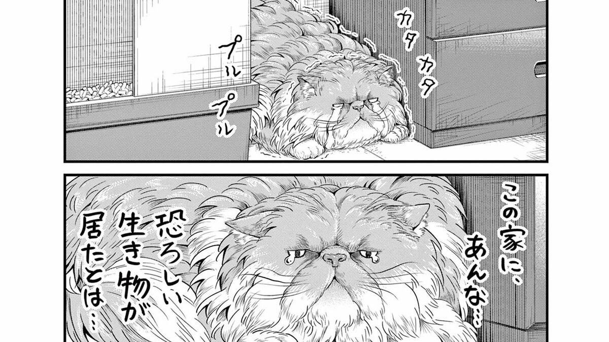 猫がビビる｢騒音の恐ろしい生き物？｣の正体 | ニャーゴとピュロロロ | 東洋経済オンライン