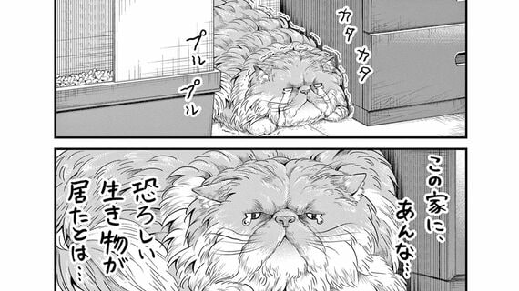 『ニャーゴとピュロロロ』