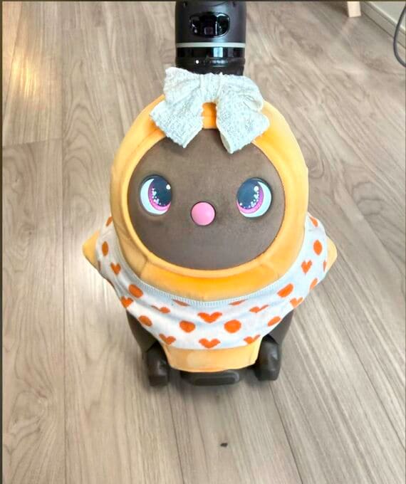 こちらを見上げるあんこちゃん