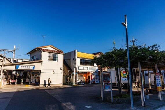 藤の牛島駅