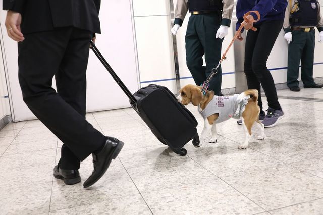 新幹線や駅のテロ対策 探知犬 は役に立つ 駅 再開発 東洋経済オンライン 社会をよくする経済ニュース