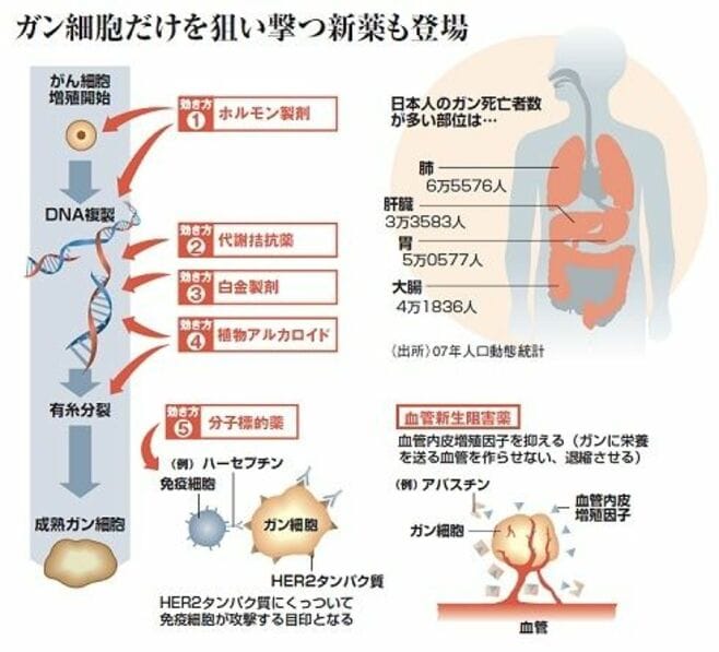 クスリの大図鑑 ３人に１人はガンで死亡 輸入新薬 多いのが課題 健康 東洋経済オンライン 社会をよくする経済ニュース