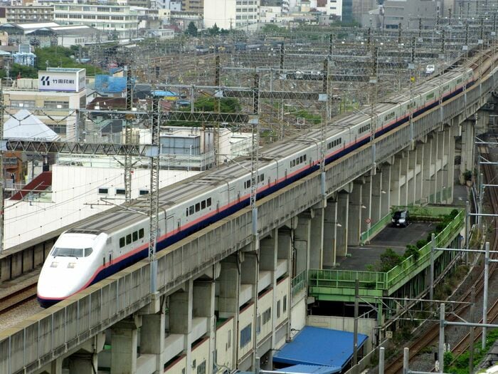 E1系12両編成の走行は迫力があった