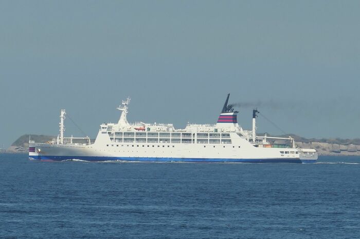 ホテルから見たおがさわら丸