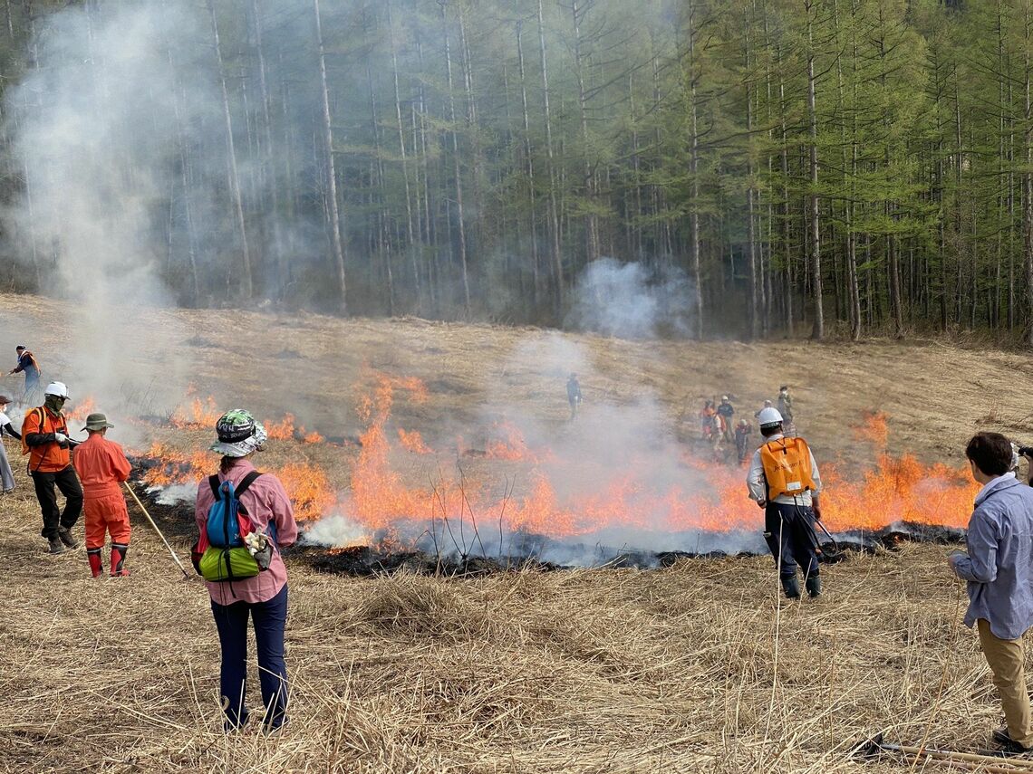 群馬県みなかみ町の上ノ原高原で2023年4月に行われた野焼き（撮影：河野博子）