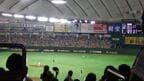 阪神戦のときだけ変わる外野ビジター席