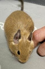 （写真：みきさん）