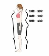 横から見た人体。前面よりも後面のほうが凹凸が大きい（図：筆者作成）