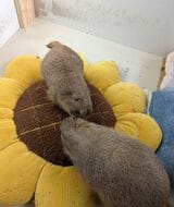 （写真提供：まる子さん）