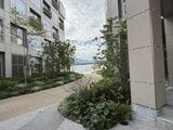各所に植物が植えられている（写真：桃田健史）