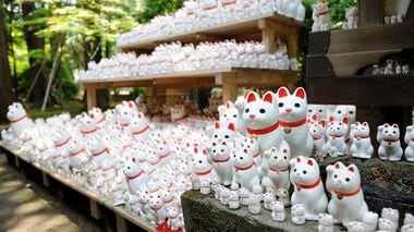 Gotoku-ji and the Story of the Maneki Neko