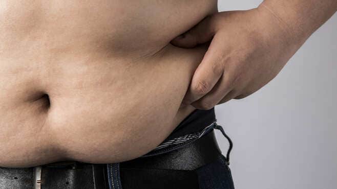 ｢肥満がなぜ悪いのか｣炎症細胞との関わりがカギ