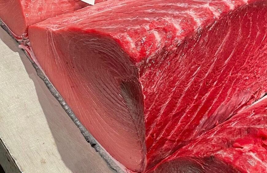 クロマグロ（写真：筆者提供）