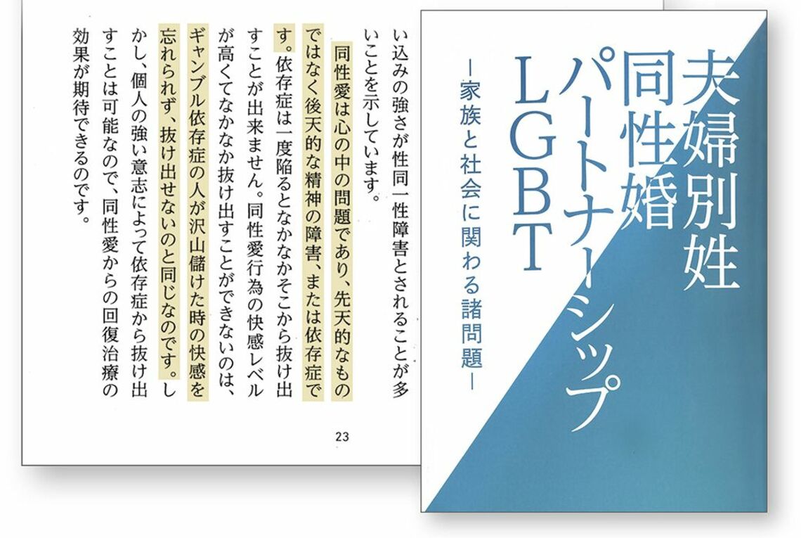 神道政治連盟が作成した冊子にはLGBTQへの差別的な言葉が並ぶ（編集部撮影）