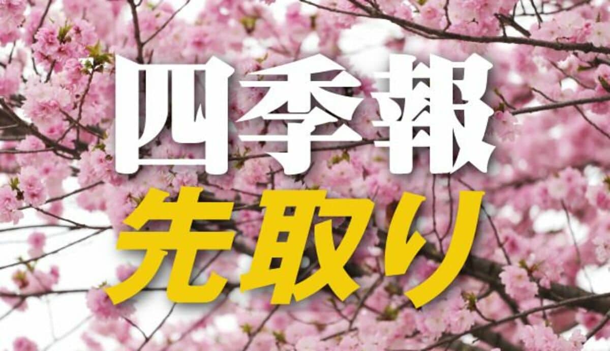 サプライズ⑥ 株主優待がもらえる｢春号｣独自増額5銘柄｜会社四季報オンライン
