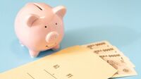 手取り増えても｢貯めなきゃ不安｣で消費は増えず すっかり定着｢NISA貧乏｣､消費を切り詰め貯蓄