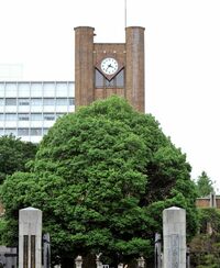 第1回　日本の経済学･経営学の研究力は高くない 世界大学ランキングでは､東大は30位