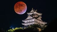 "本能寺の変"直後あんなに近くにいたのに！秀吉でも､柴田勝家でもない《天下に最も近かった男》の正体