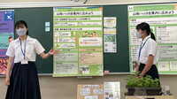 初の東大推薦挑戦で3名合格｢山東探究塾｣の裏側