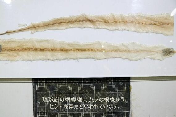 ハブ博物公園内展示
