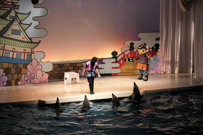 いるか・あしかパフォーマンス