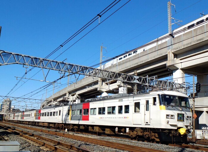 高架上の「Max」と185系特急「水上」