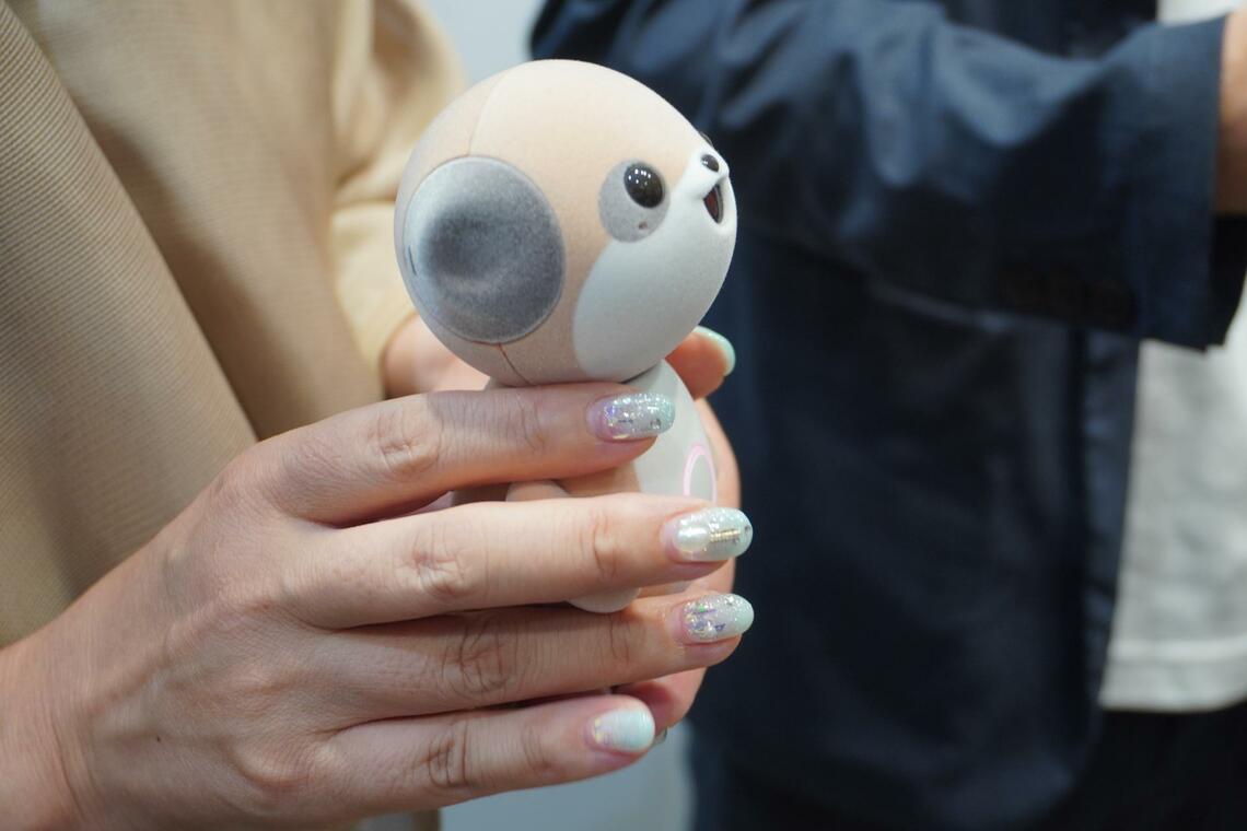 ポケとも