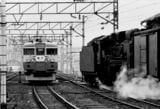 電化直後の北陸本線武生駅で貨車の入換作業をするD51（撮影：南正時）