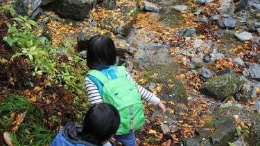 子連れキャンプの危うい一瞬､暗闇捜索の悪夢 山岳救助のプロが解説する山の意外な落とし穴 | レジャー・観光・ホテル | 東洋経済オンライン