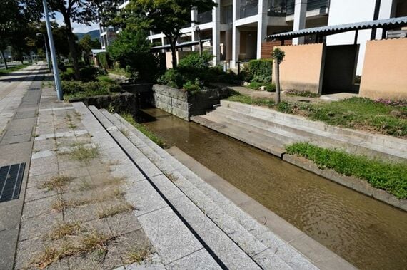 水路の右にある茶色の壁が駐輪場
