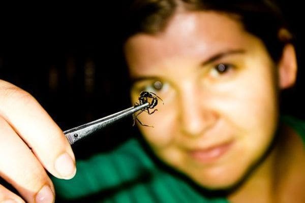 世界 最凶 の毒を持っている生物は何か 読書 東洋経済オンライン 社会をよくする経済ニュース