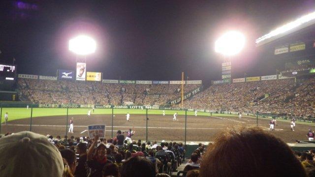 虎ファンで埋まった1塁側