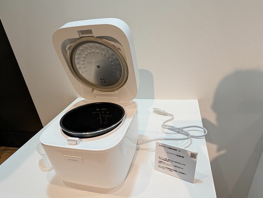 手ごろな価格帯で1人暮らし向け需要を狙う。市場想定価格は5980円（税込）（筆者撮影）