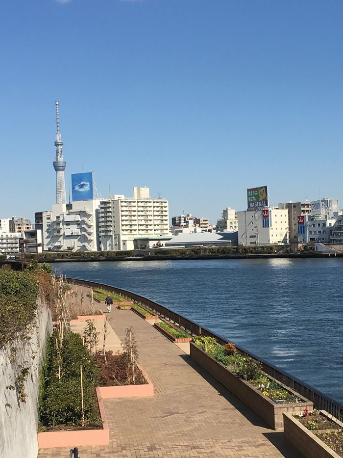 清洲橋付近の隅田川沿いの様子（筆者撮影）