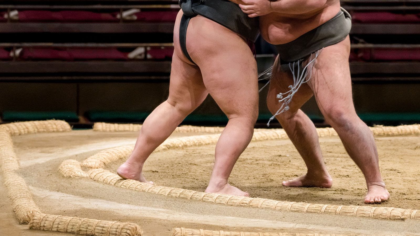 相撲は国技 の看板を信じてはいけない理由 スポーツ 東洋経済オンライン 経済ニュースの新基準
