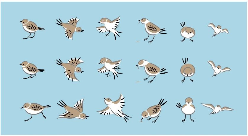 『百千鳥』のフォントに実際に挿入されている鳥たち